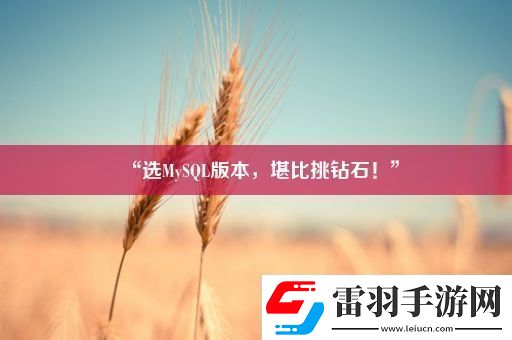 “选MySQL版本