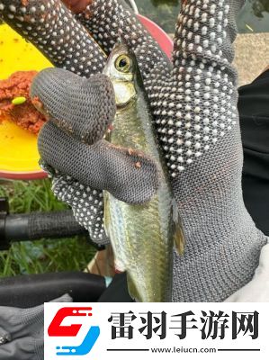 钓鱼佬游戏中钓鱼技巧大揭秘