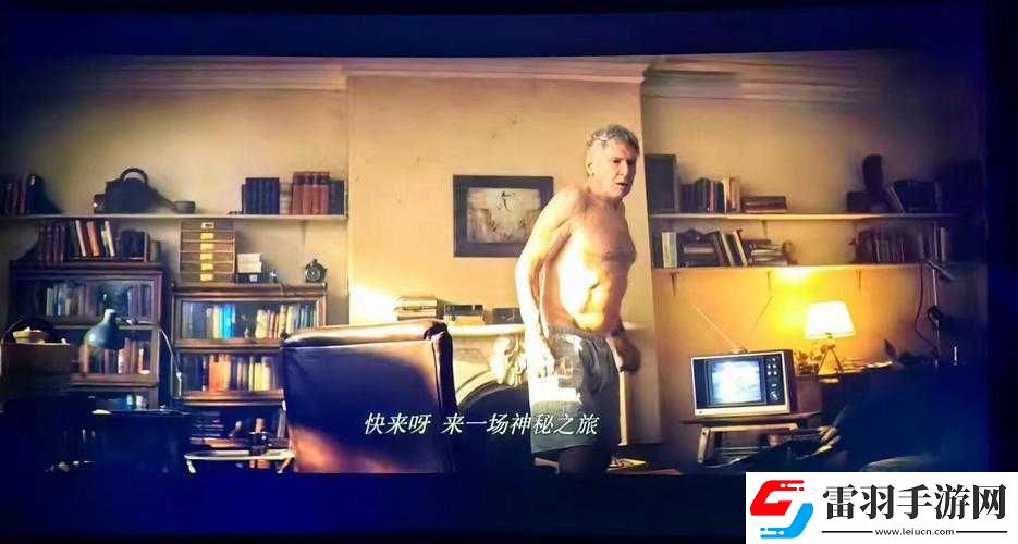 夜猪