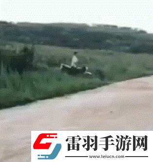 猴子来了都不知道先打哪一个动图教你怎么缓解尴尬