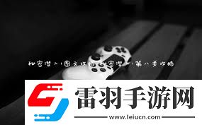 秘密潜入行动的全方位步骤与技巧