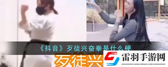 抖音歹徒兴奋拳是什么梗