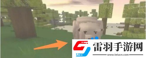 我的世界怎么驯服北极熊