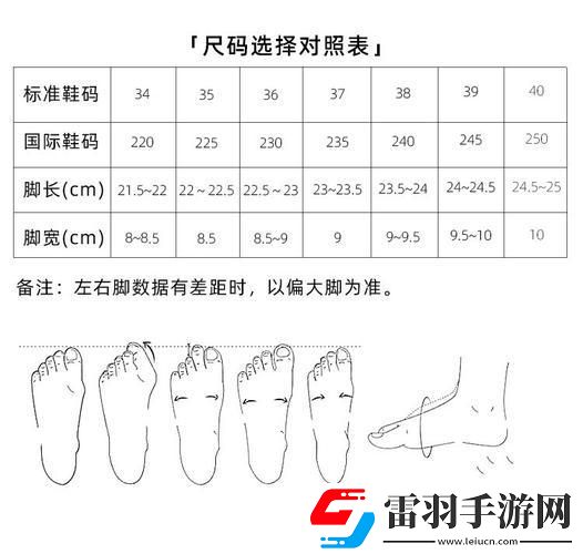 国产尺码对阵欧派风华
