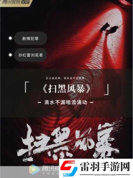 扫黑风暴引争议