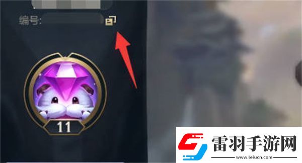 英雄联盟手游好友称号获取方法
