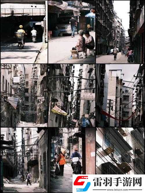 狗爷城中村国际在线观看