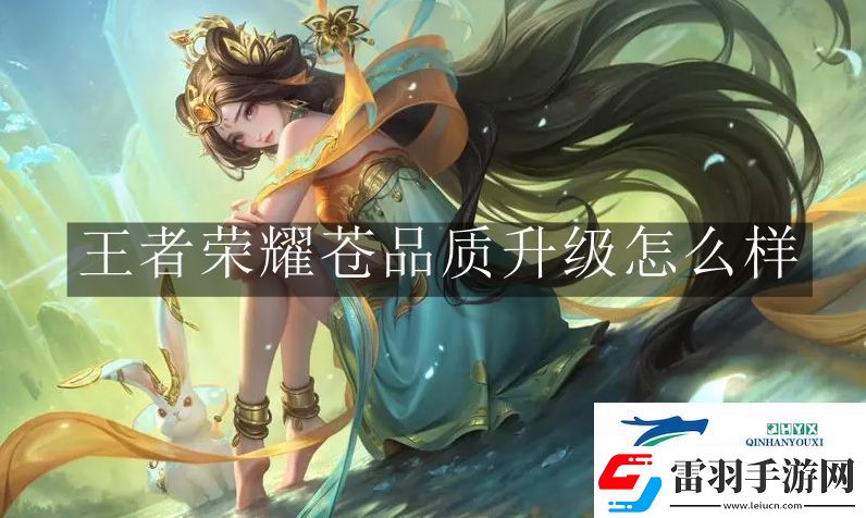 王者荣耀苍品质升级怎么样