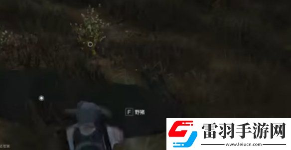 七日世界雪国人生动物在哪