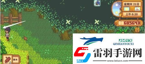 星露谷物语蕨菜怎么获取