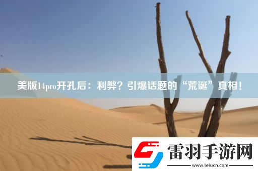 美版14pro开孔后