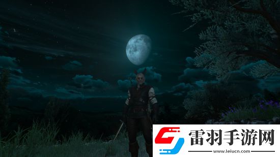 巫师3骑士五德任务怎么触发骑士五德的触发条件