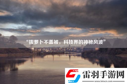 “拔萝卜不盖被