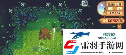星露谷物语蕨菜怎么获取