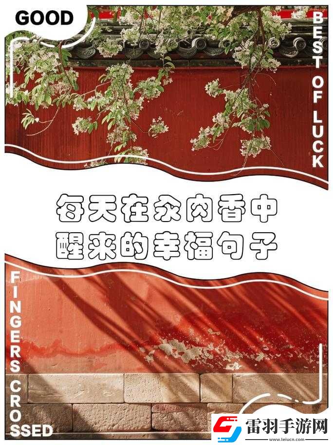 汆肉梦中游