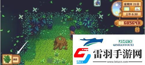 星露谷物语蕨菜怎么获取