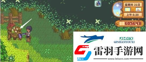 星露谷物语蕨菜怎么获取