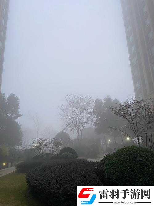 江湖决战雾漫江