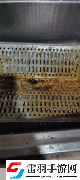 没带罩子让他吃了一天会怎么样