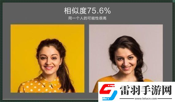 颜面相似度大挑战