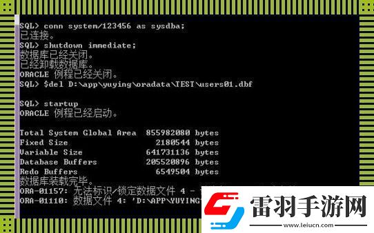 Oracle备份与恢复