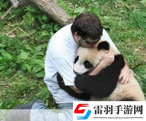人物动物互动高清视频素材