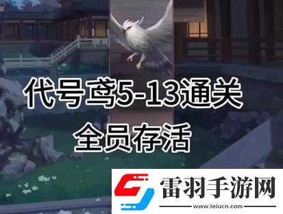 代号鸢