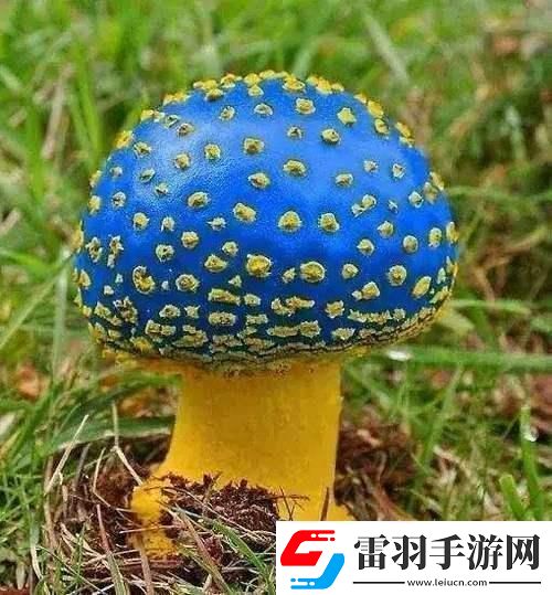 蘑菇mogula笑不活了科技圈新晋“红”的这点事！