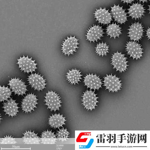 探索我的世界微观世界最小生物排行大揭秘蠹虫意外落榜