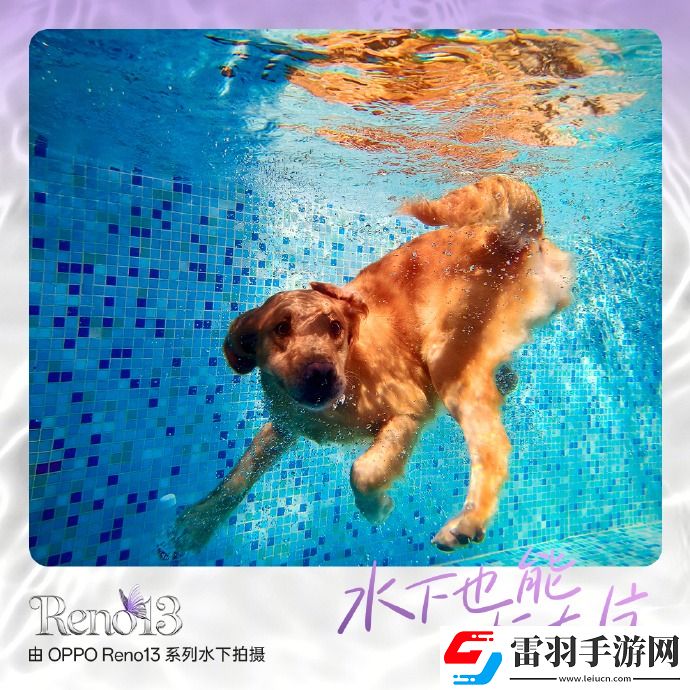 又美又强的OPPOReno13系列爆料汇总