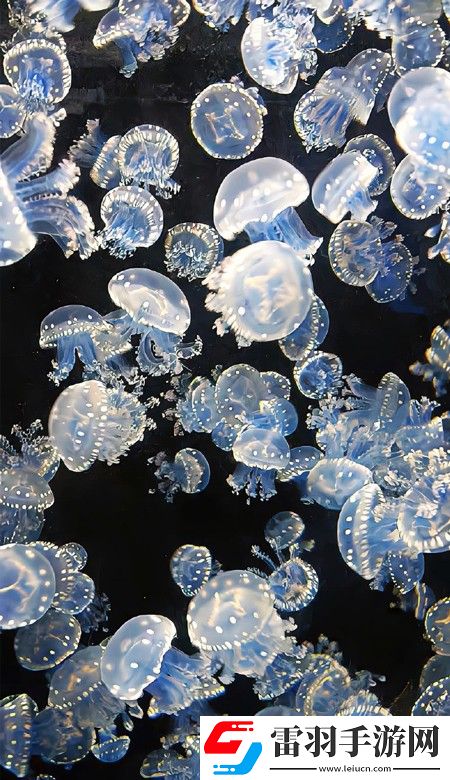 颜值出众的壁纸高清2023要一直都有好看的壁纸可以换