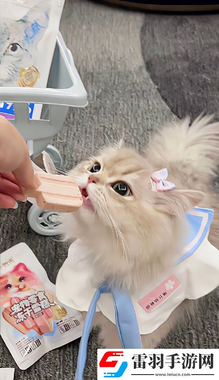 颜值出众的壁纸高清2023要一直都有好看的壁纸可以换