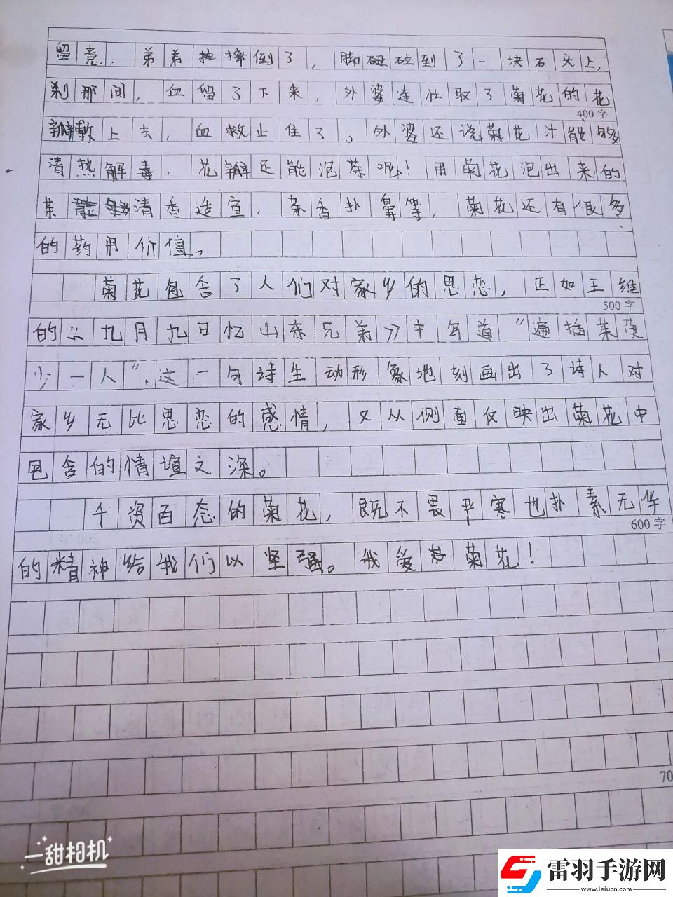 咱们来聊聊“六年级菊花”的诡异魅力