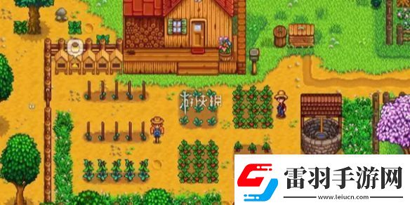 星露谷物语神秘的齐1任务怎么过
