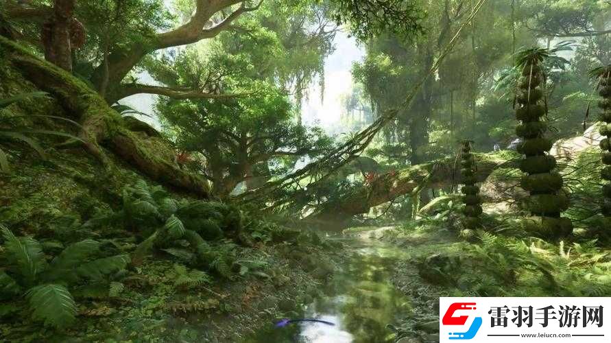 阿凡达边境森林