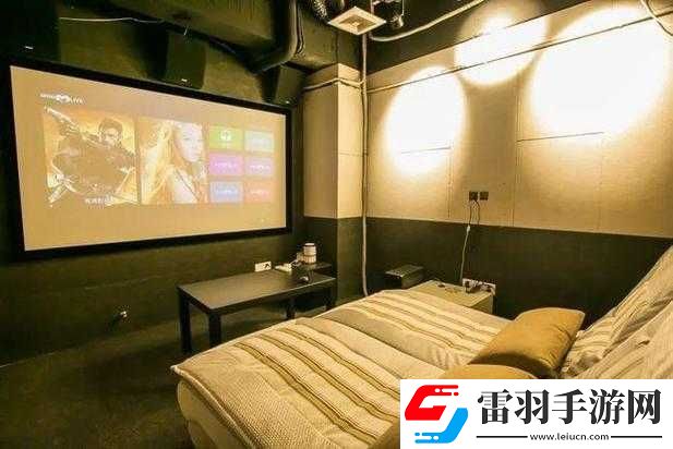顶级私人影院
