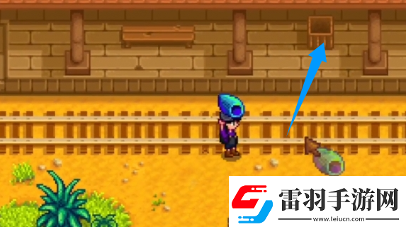 星露谷物语神秘的齐1任务怎么过