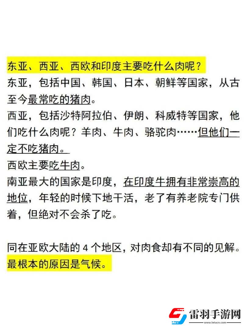 肉食教师食取报告