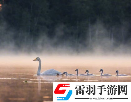 很有诗意的励志空间说说认准的路就别问多远