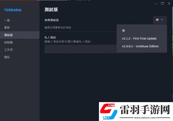 泰拉瑞亚迎来13周年开发团队放出最终更新版本