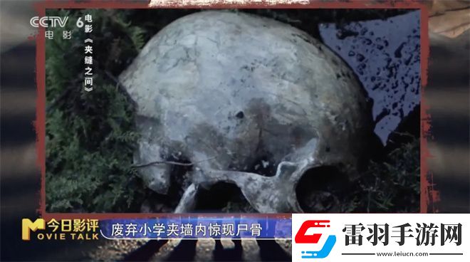 夹缝之间解析