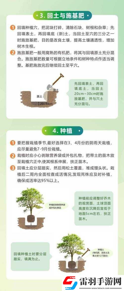 老农种树经验分享