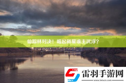 仙踪林对决！崛起新星谁主沉浮