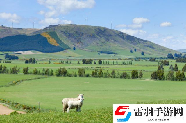 揭秘牧场用词嫩草一二三的区别及其对草原生态和牲畜饲养的影响解析