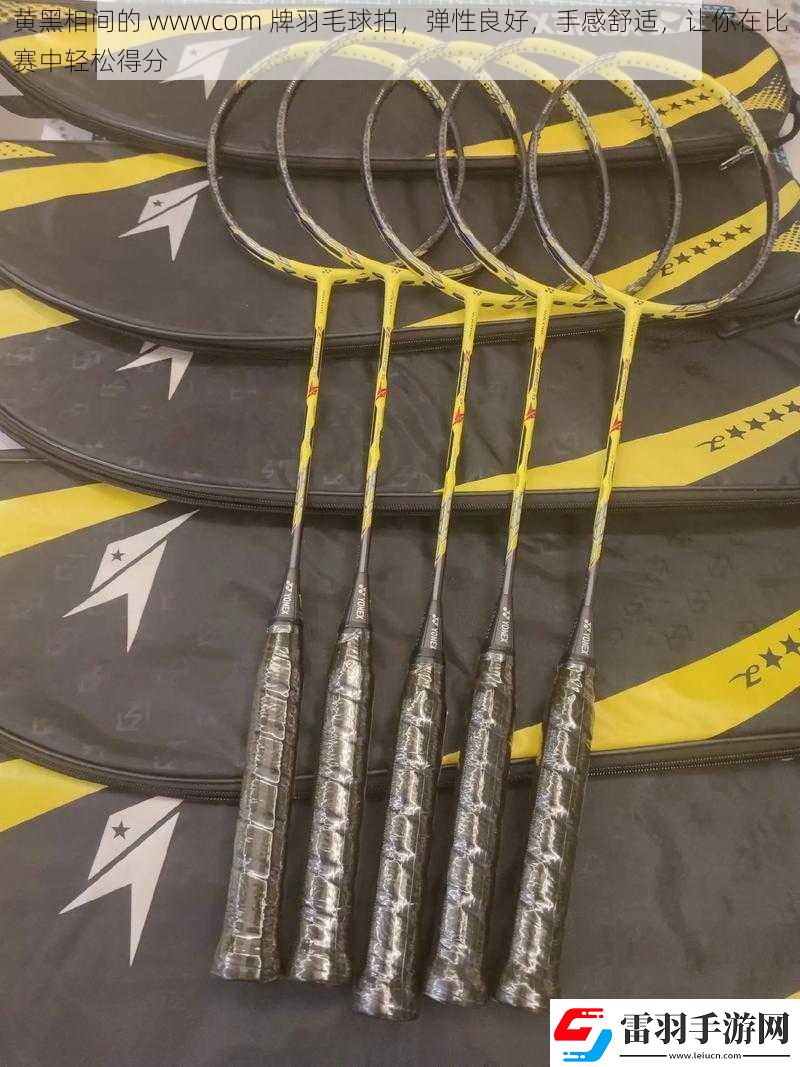 黄黑相间的