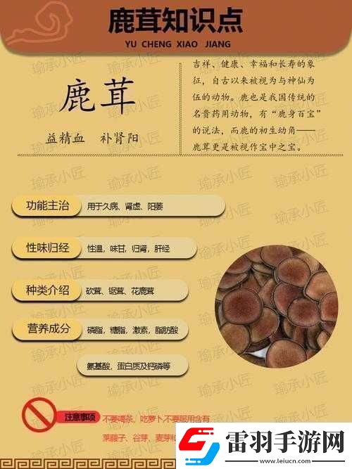江湖鹿茸药材获取攻略