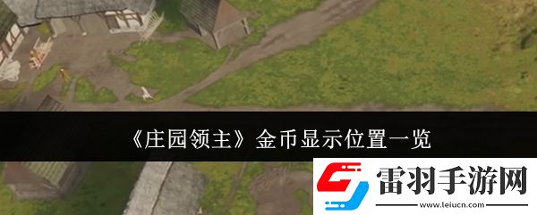 庄园领主金币在哪显示