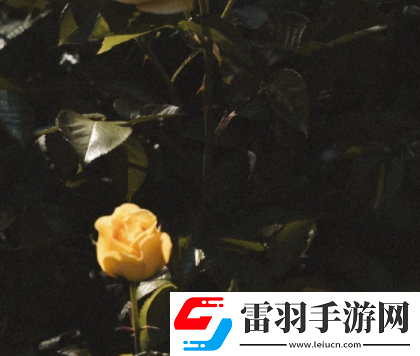 能够让你度过分手期的治愈文案分手后能够治愈你的说说