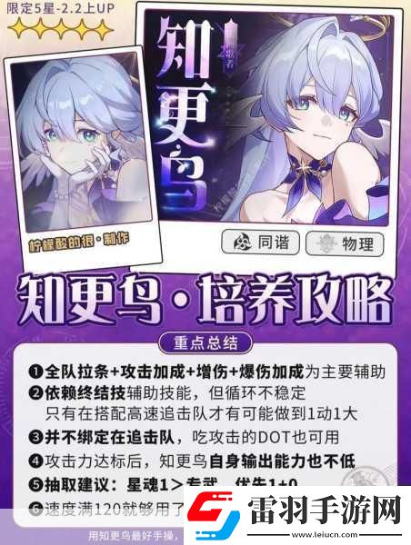 崩坏星穹铁道知更鸟配队全攻略打造无敌战斗阵容