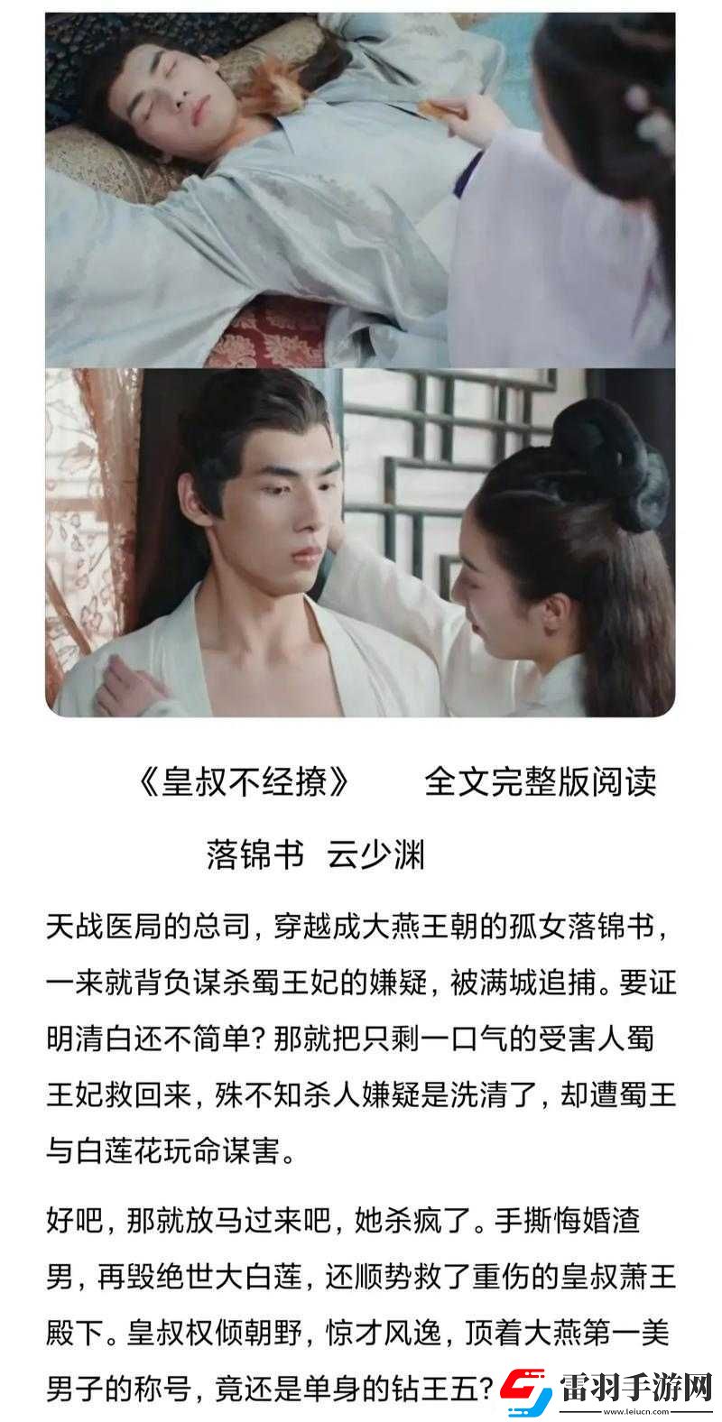 攻略大燕王妃